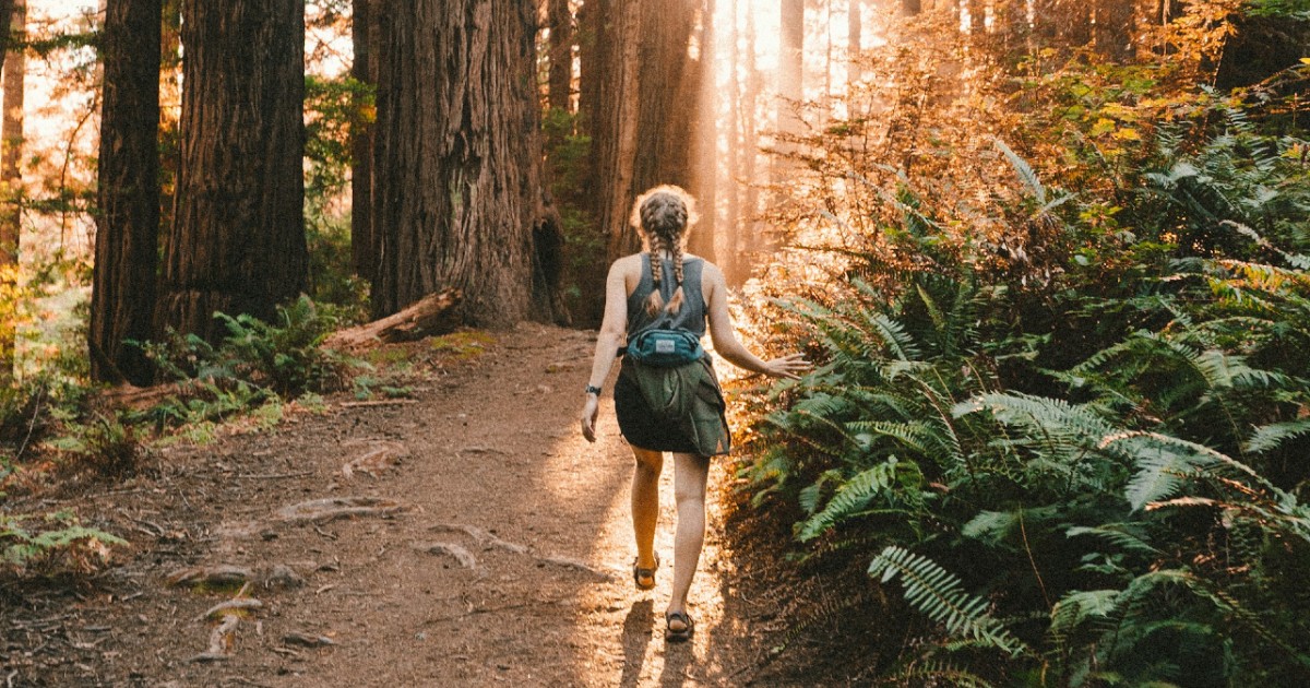 sell-your-charity-event-or-attraction-tickets-completely-for-free