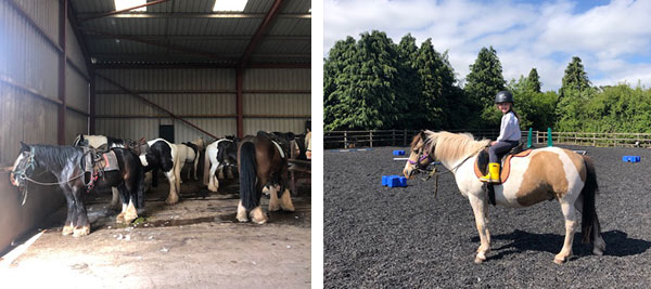 Cantref Pony Riding