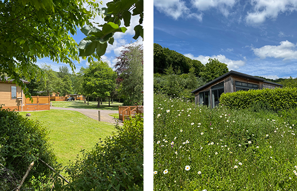Cheddar Woods holiday park