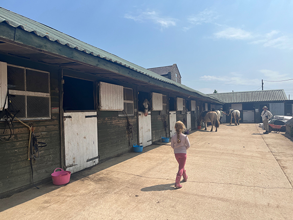 trekking stables