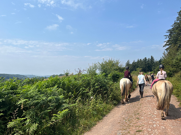 pony trekking mendips