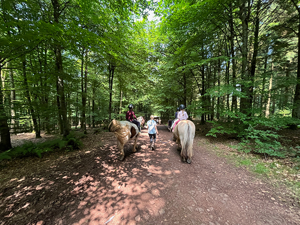 horse trekking mendips