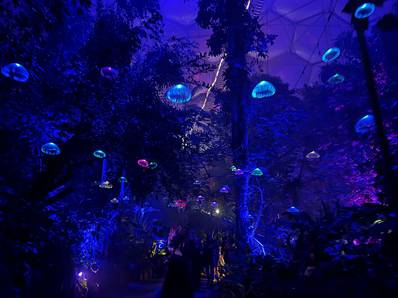 Eden Project Christmas lights