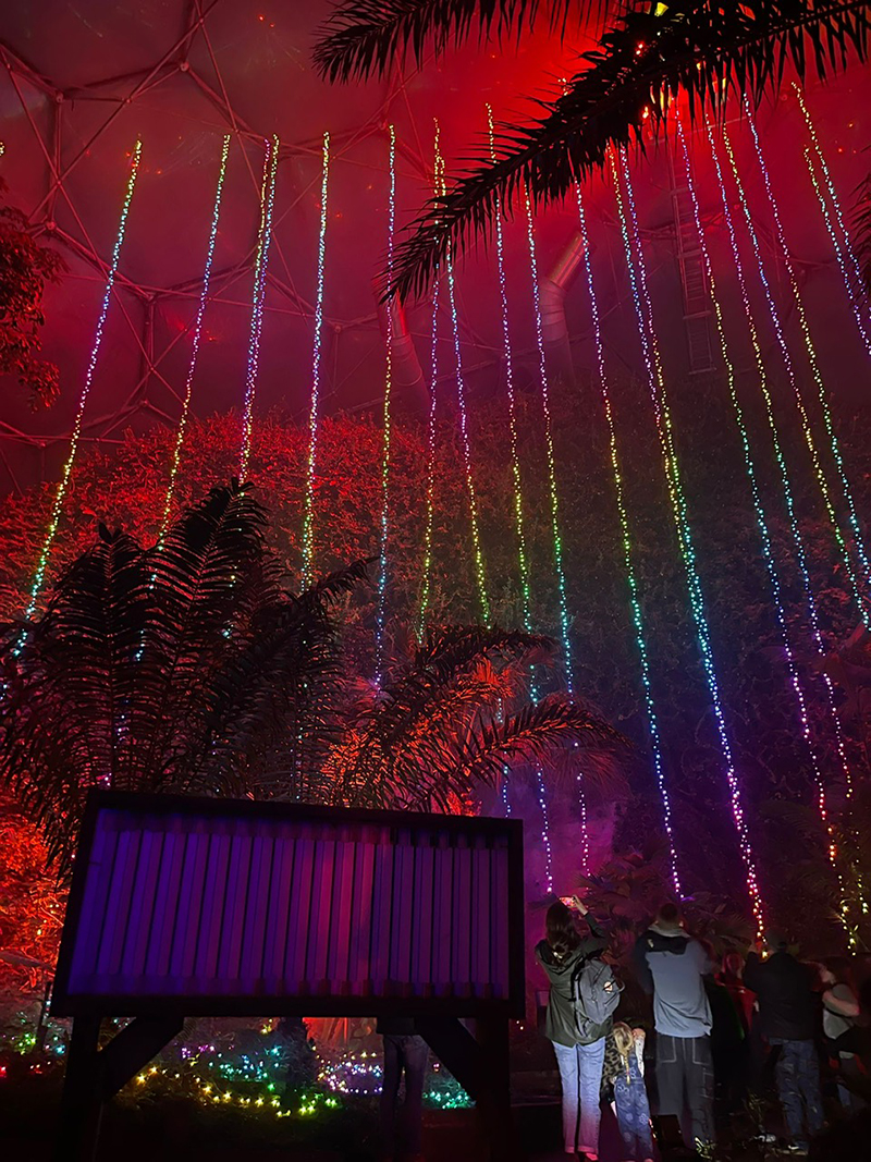 Eden Project Christmas lights