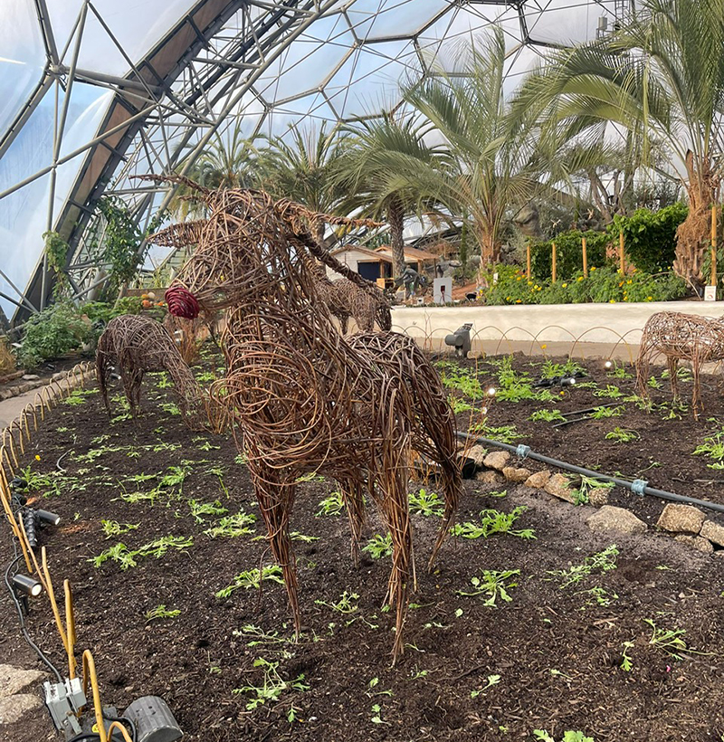 Eden Project at Christmas
